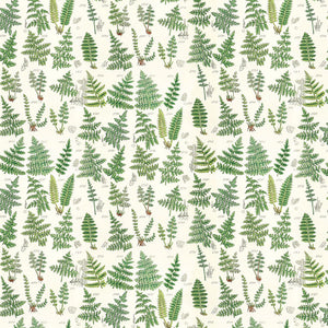 PALETTE GREEN Ferns