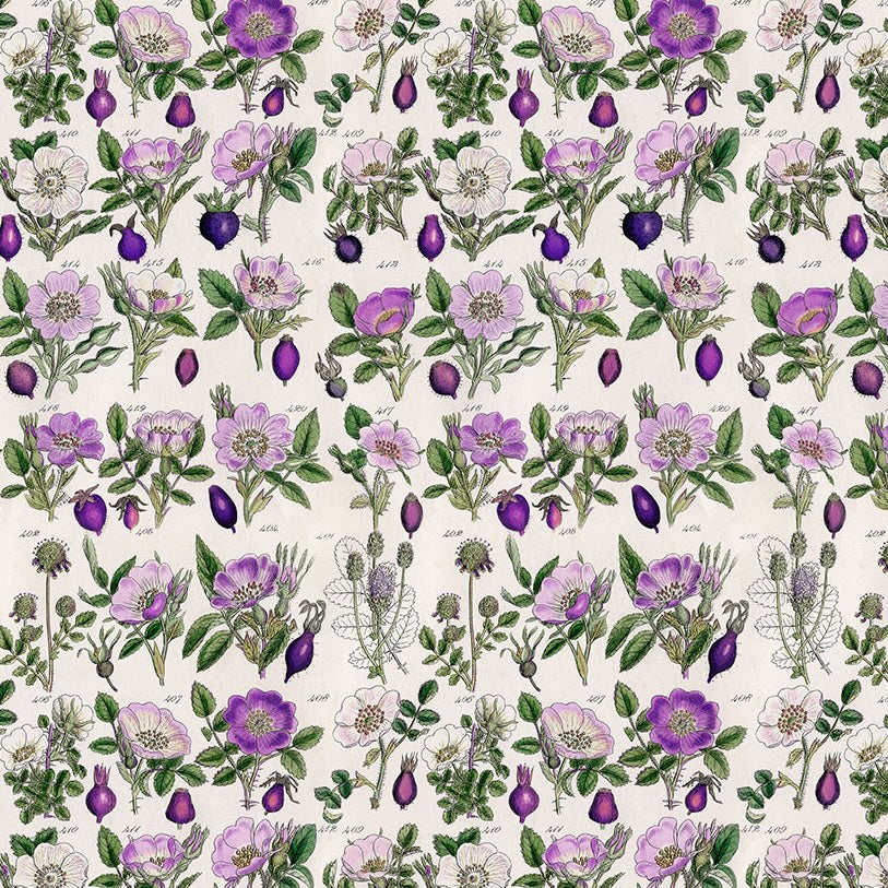 PALETTE PURPLE Botanical