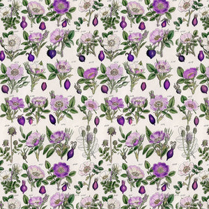 PALETTE PURPLE Botanical
