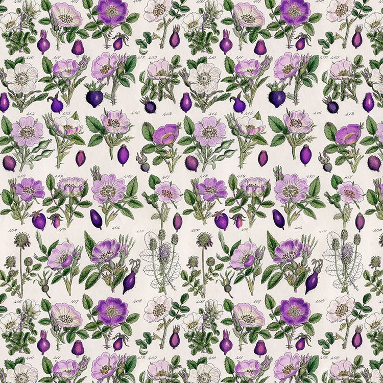PALETTE PURPLE Botanical