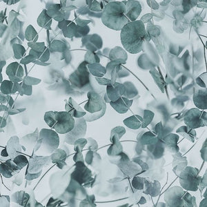 FARMHOUSE BLOOMS Eucalyptus mist - one yards