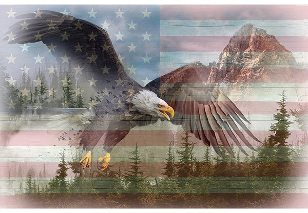 AMERICAN WILD  43"x29" V5125-americana