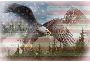 AMERICAN WILD  43"x29" V5125-americana