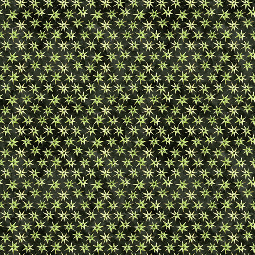 GHOUL FRIENDS Stars black