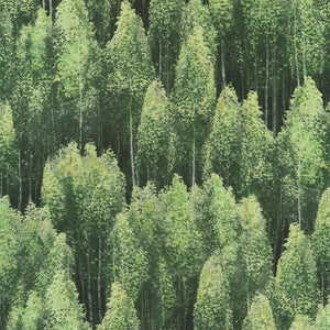 NATURE'S ODYSSEY 23167-44 forest
