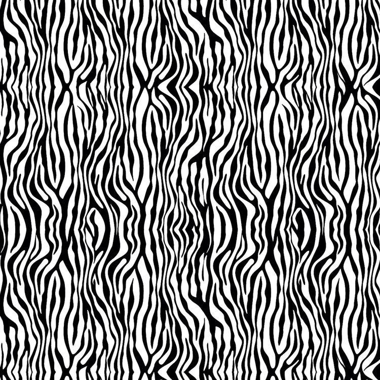 EARTH SONG Zebra Stripe white
