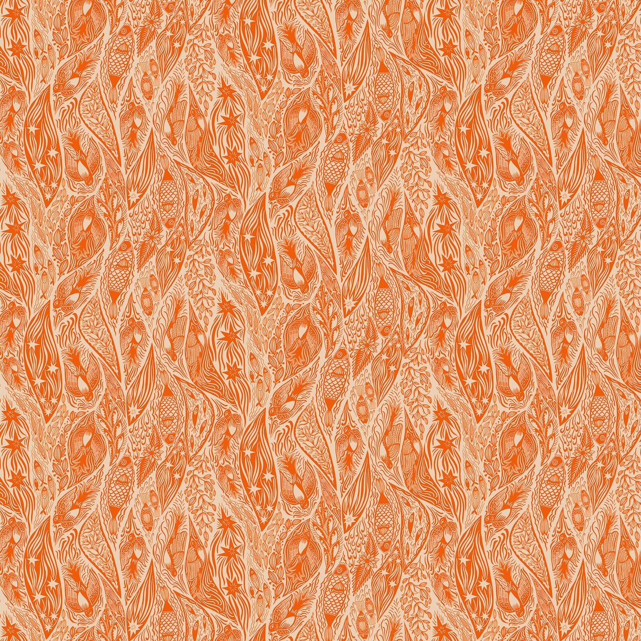SHOOTING STAR Current tangerine