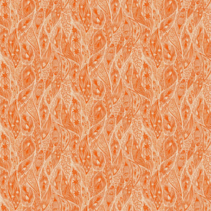 SHOOTING STAR Current tangerine