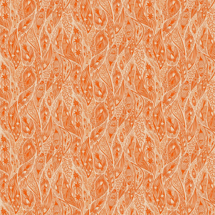 SHOOTING STAR Current tangerine