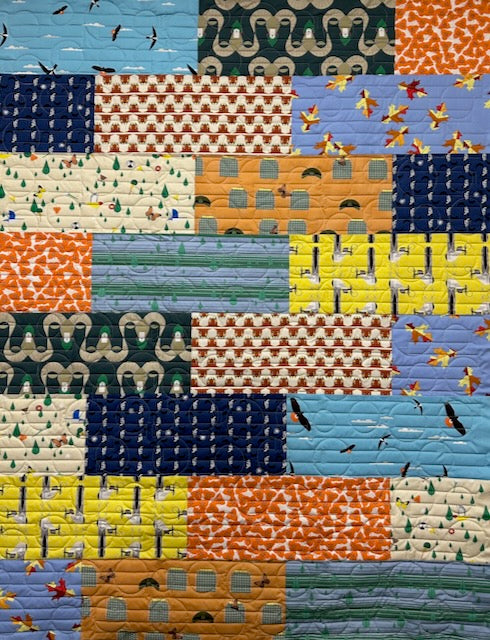 BISCOTTI Charley Harper Santa Rosa 48"x 64"
