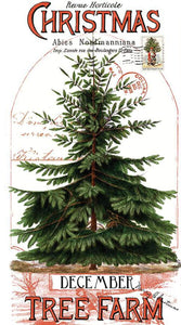 CLASSIC CHRISTMAS Christmas Botanical Main Panel 24"x43"