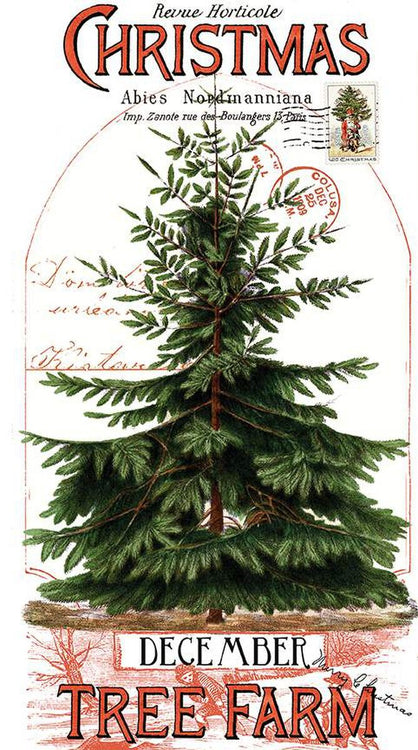 CLASSIC CHRISTMAS Christmas Botanical Main Panel 24"x43"