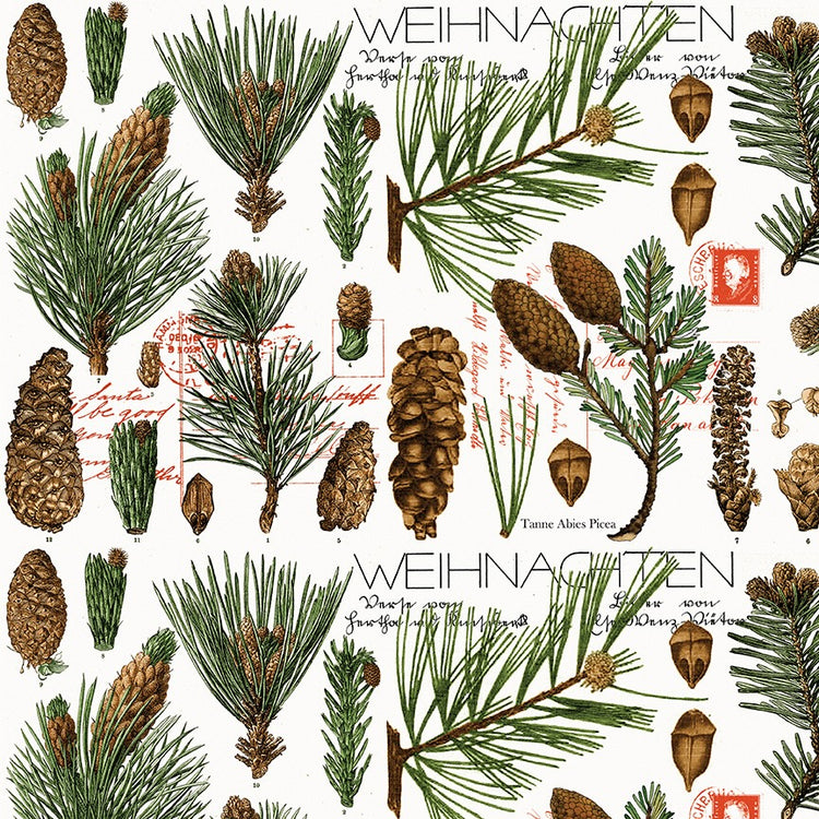 CLASSIC CHRISTMAS Botanical Pines white