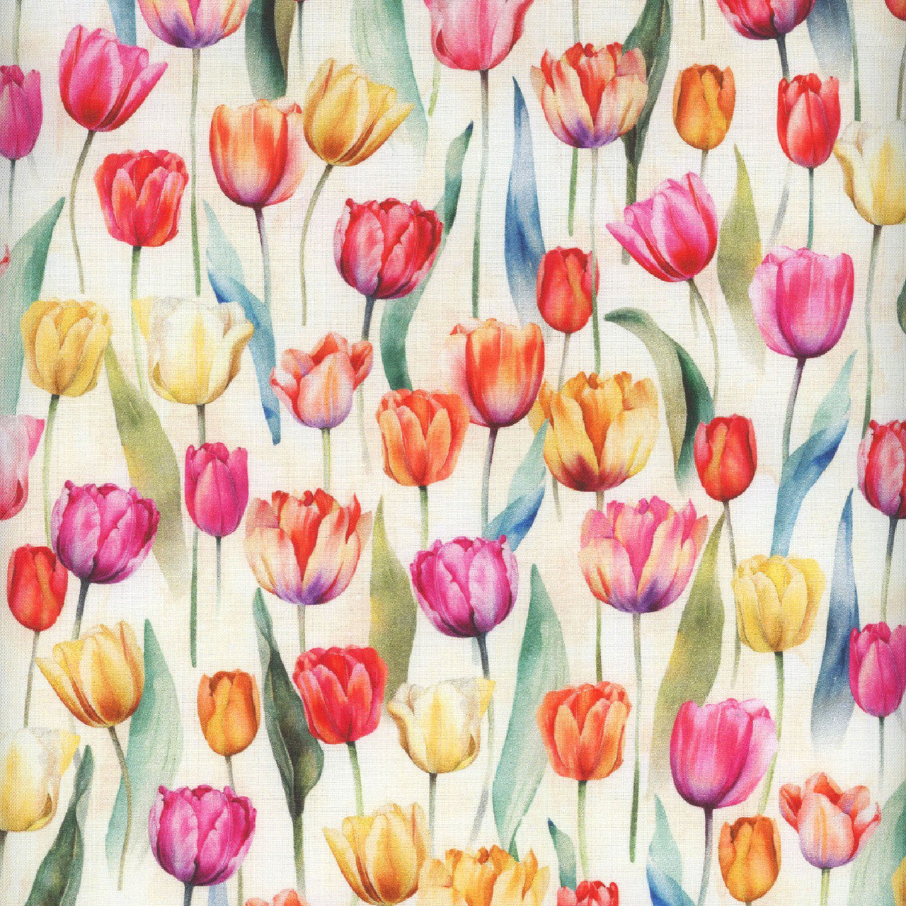FLOWER SHOPPE W5480-439 tulip