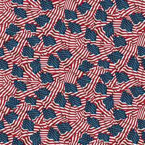 STARS AND STRIPES 13 Waving Flags navy multi