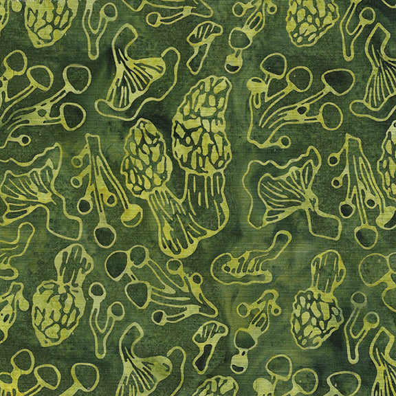 FOREST FLORA Mushroom Time green frog