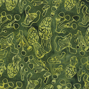 FOREST FLORA Mushroom Time green frog