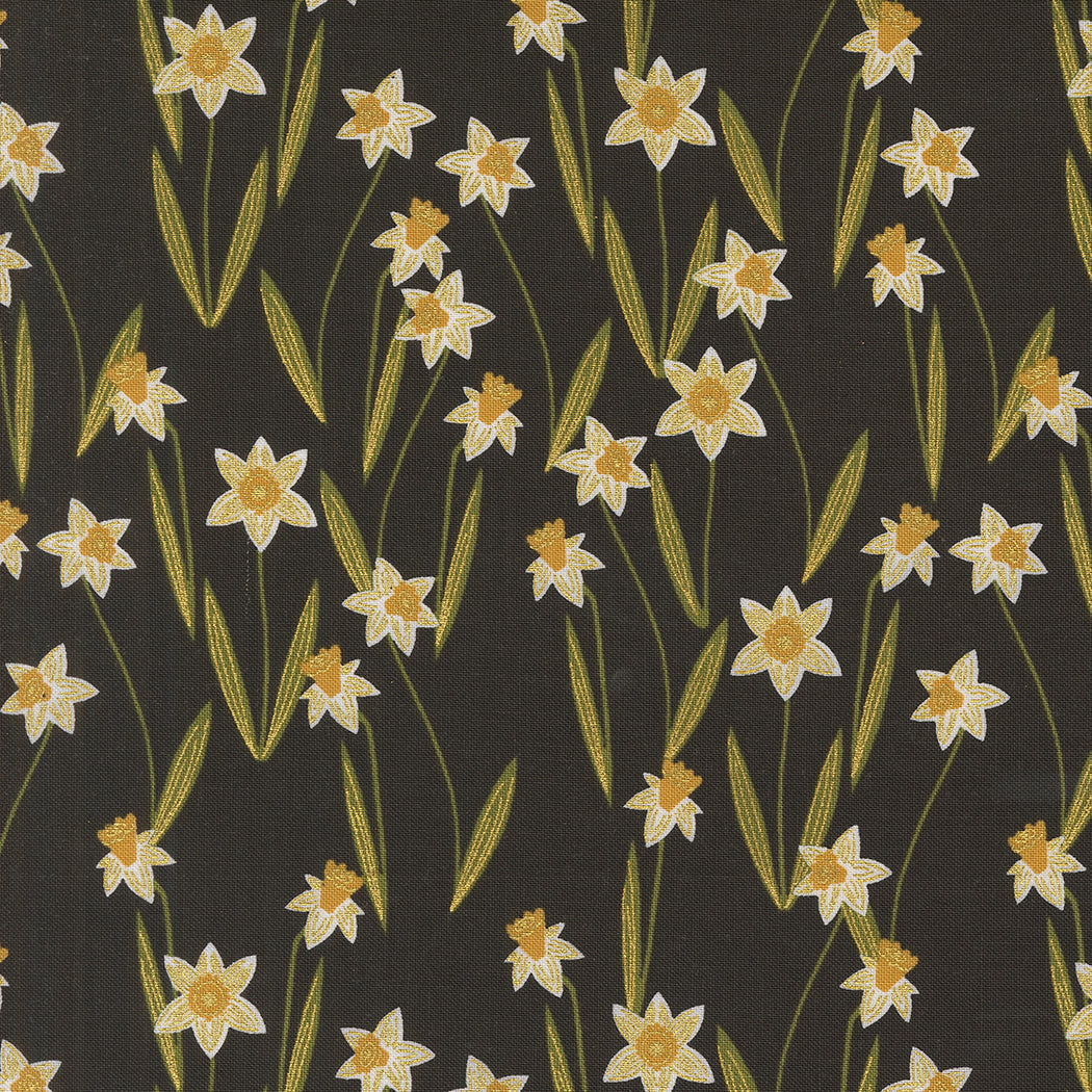 BEE GARDEN Darling Daffodils black