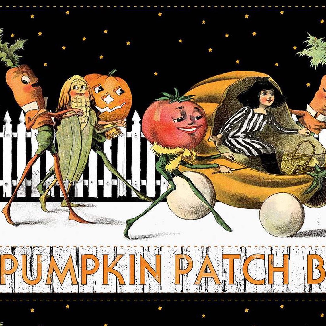 PUMPKIN PATCH Barn Dance Border Stripe white - one yards