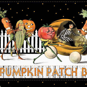 PUMPKIN PATCH Barn Dance Border Stripe white