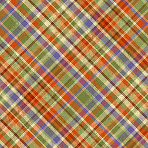 CORNUCOPIA HARVEST Diagonal Plaid multi