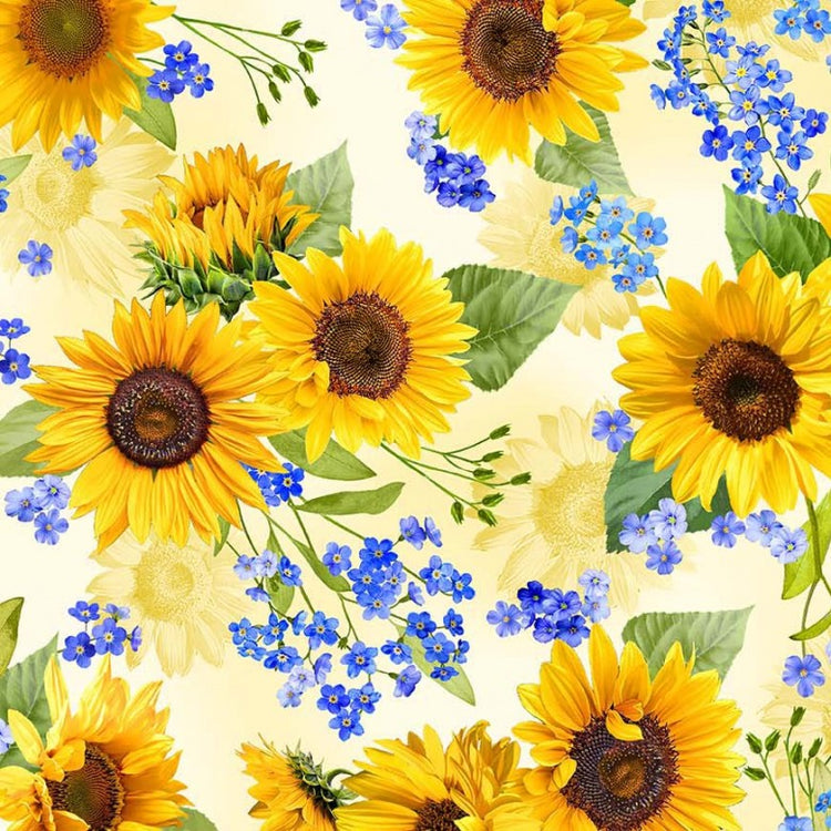 SUMMER SUNFLOWERS Sunflower Blooms sun