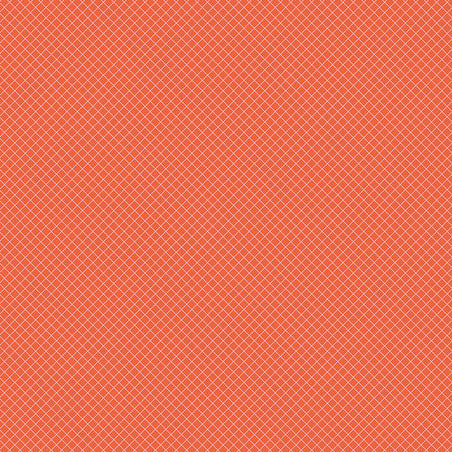 TULA PINK TRUE COLORS On the Grid salmon