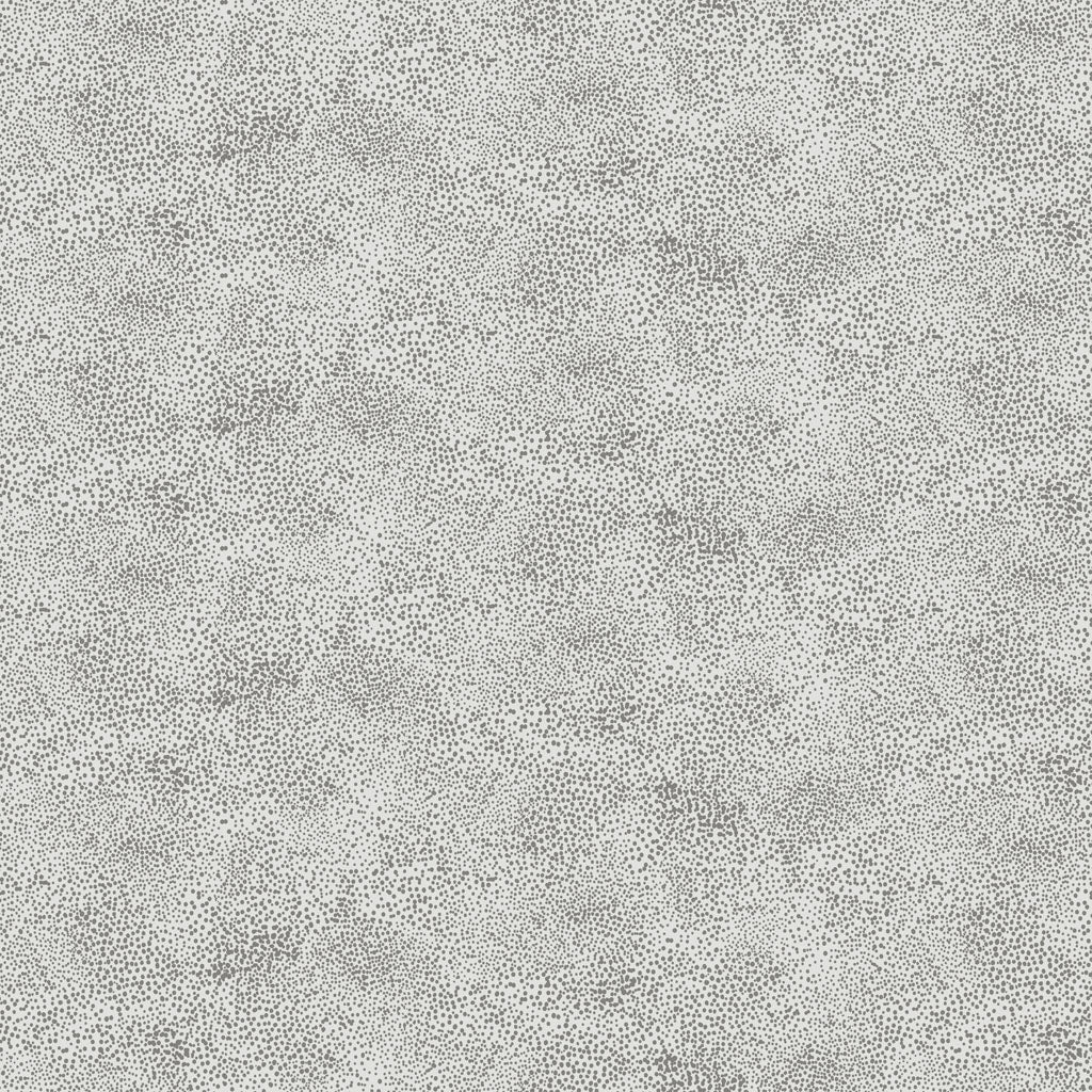 PERSPECTIVE Stipple gray