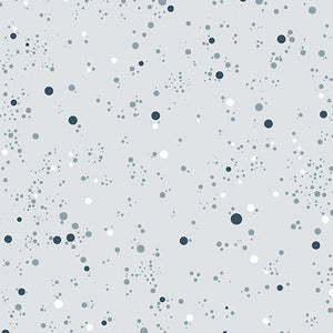 FIZZ club soda