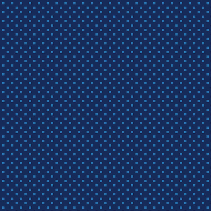 DAZZLE DOTS Snazzy Squares navy/blue