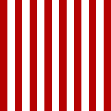 ONE NATION Vertical Stripe red