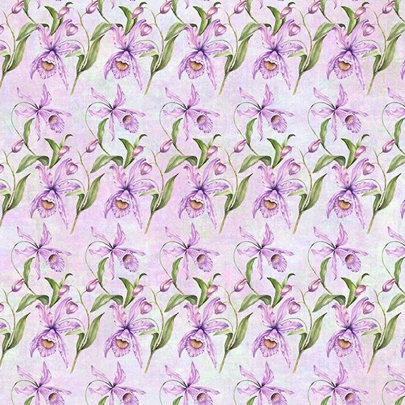 BOTANICAL Orchids lavendar