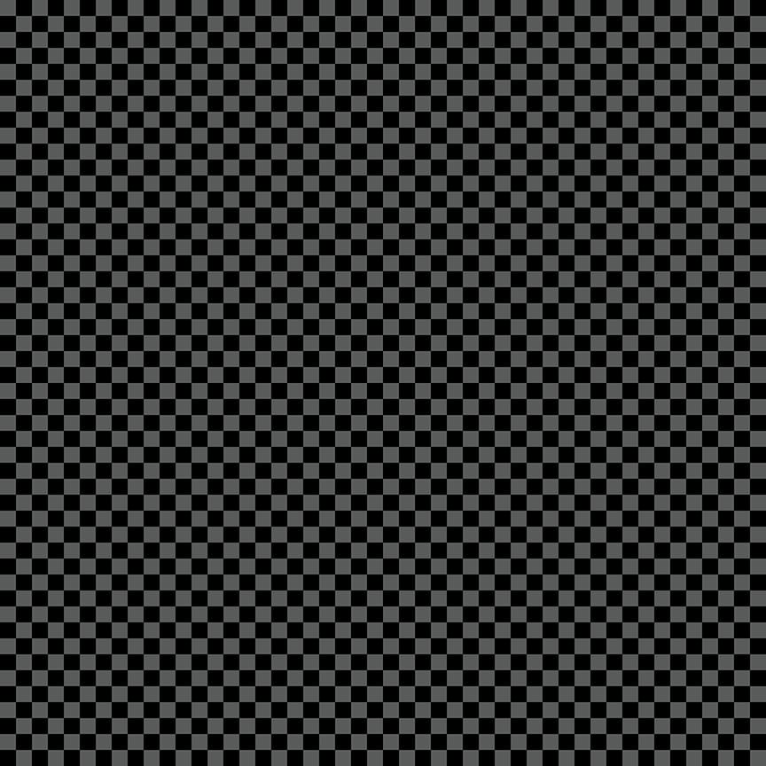 FAST AND WILD Gingham black