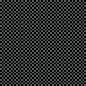 FAST AND WILD Gingham black