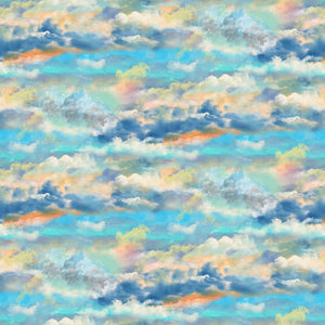 NATIONAL EMBLEM Cloud Texture sky blue