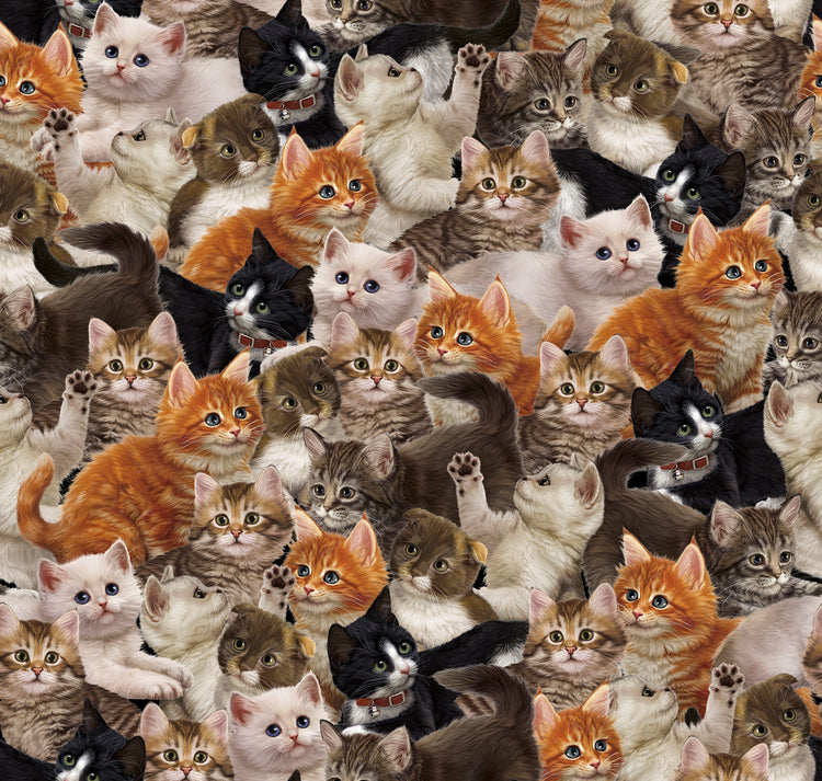 LITERARY KITTIES Packed Kitties multi