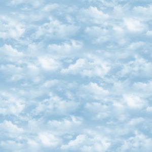 WINGED GLORY Cloud Texture blue