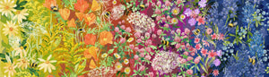 WILD BLOSSOMS Wildflowers rainbow - one yards