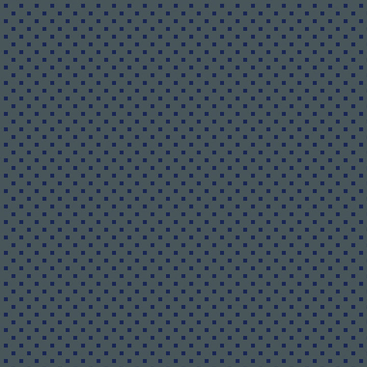 DAZZLE DOTS Snazzy Squares charcoal/navy