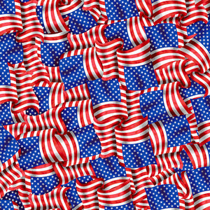 STARS & STRIPES FOREVER Packed Flags plaid