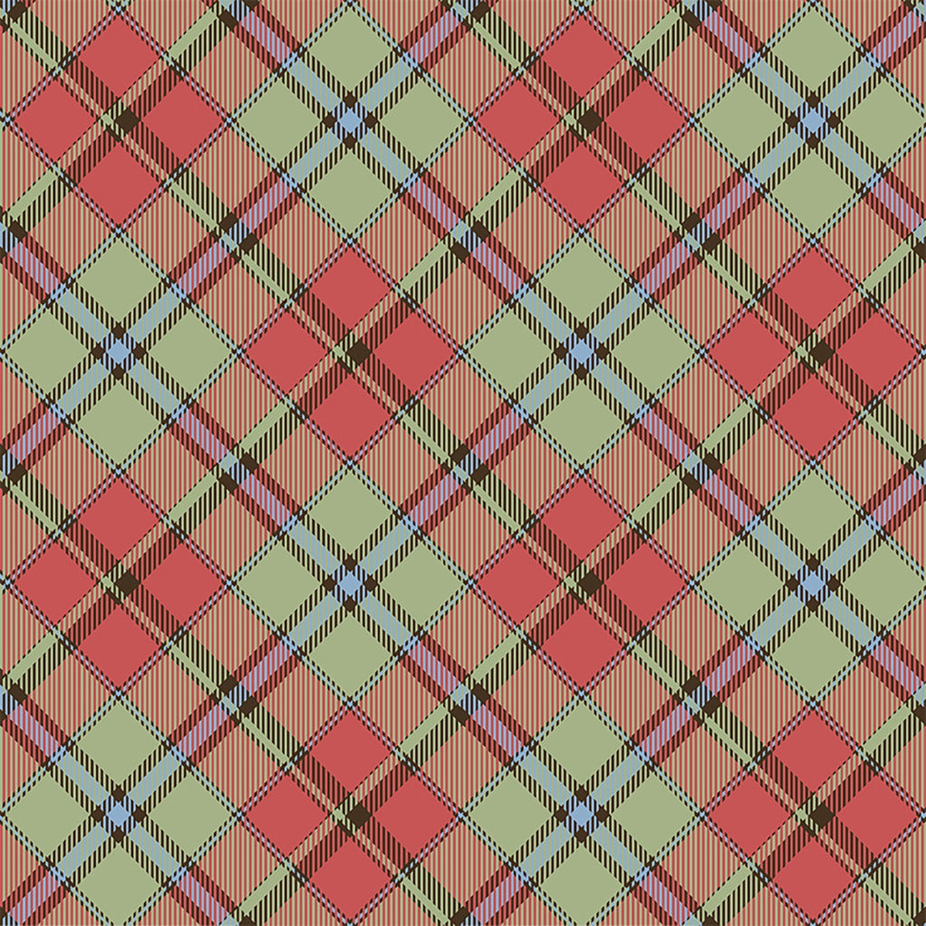 JOYFUL WINTER Diagonal Plaid multi color