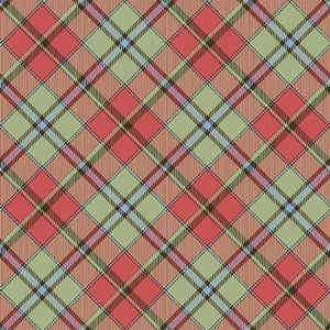 JOYFUL WINTER Diagonal Plaid multi color