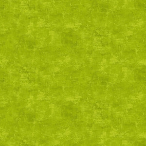 CANVAS Chartreuse 72