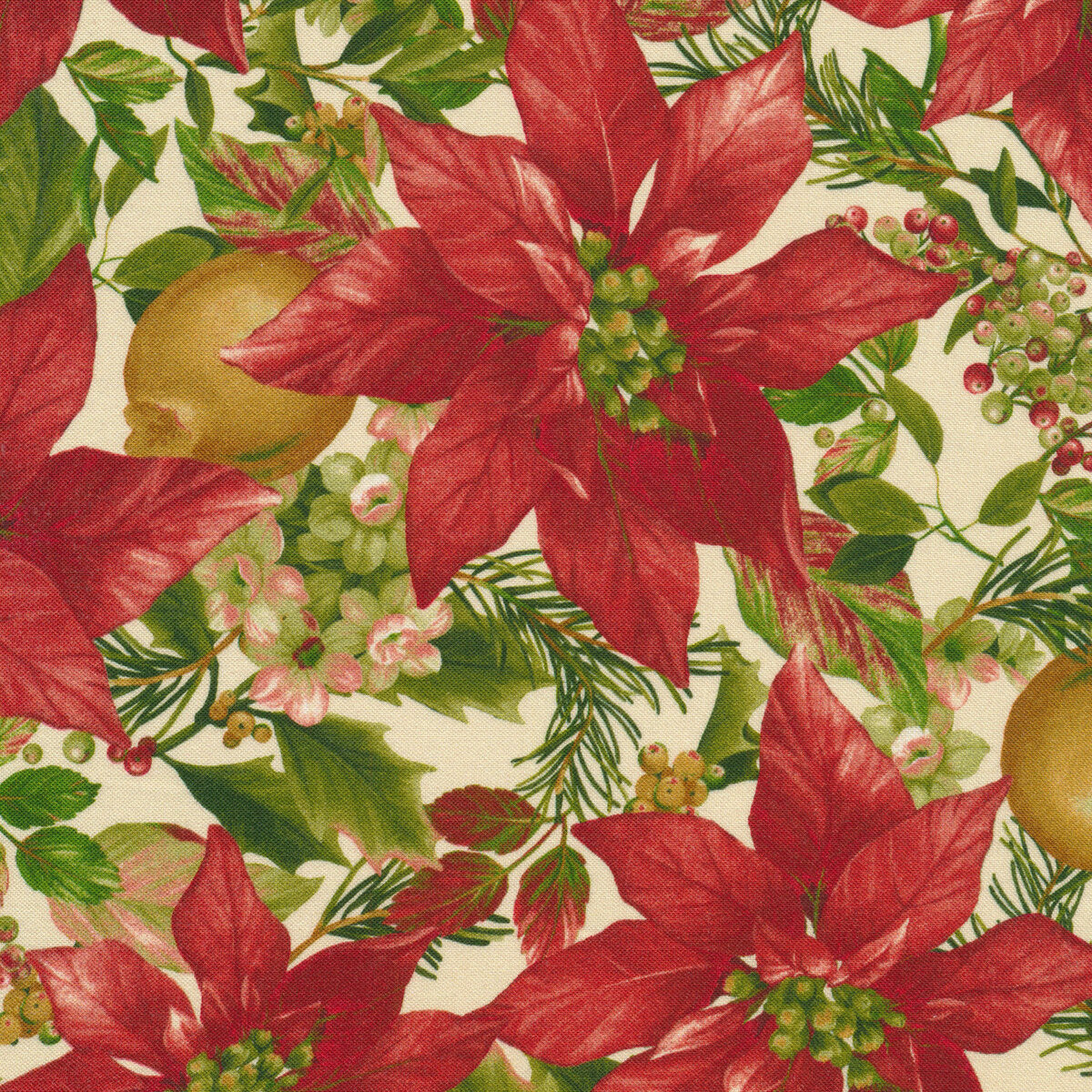 HOLIDAY FOLIAGE Poinsettias cream