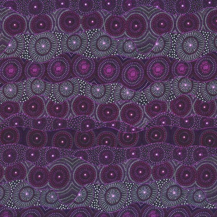 AUSTRALIAN Alpara Seed purple