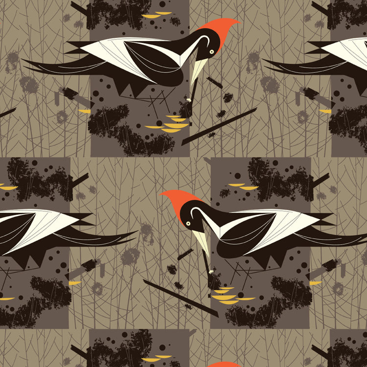 VANISHING BIRDS Ivory Billed Woodpecker