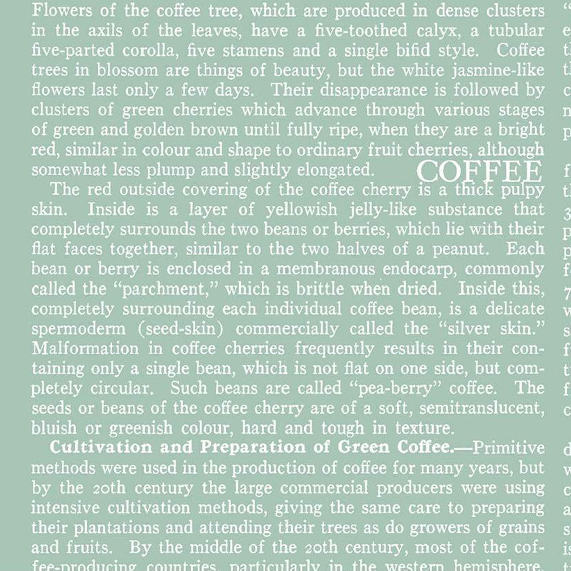 COFFEE CHALK Text aqua