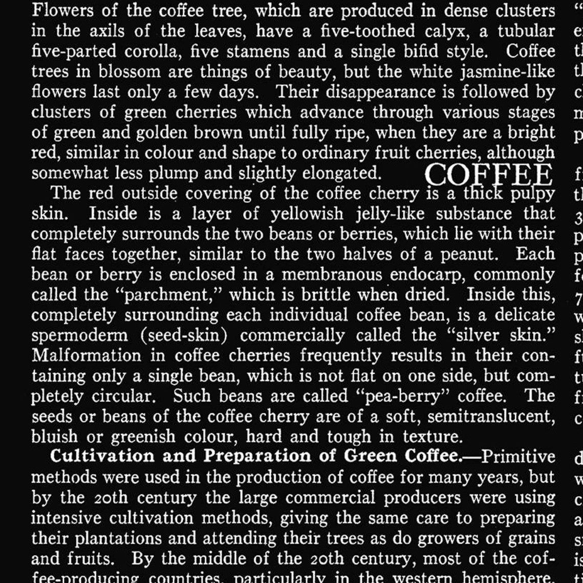 COFFEE CHALK Text black