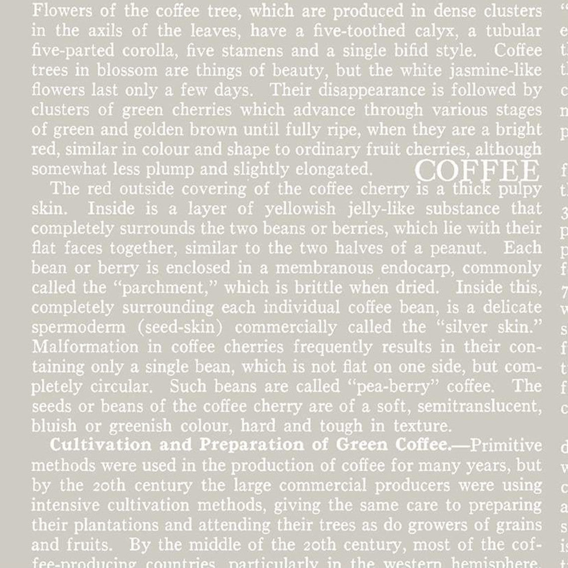 COFFEE CHALK Text taupe