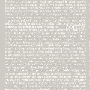 COFFEE CHALK Text taupe